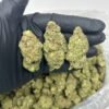 OG kush bud