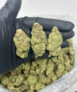 OG kush bud
