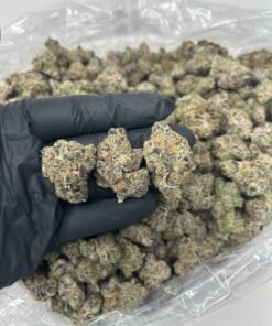Blue dream bud
