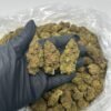 Runtz strains bud