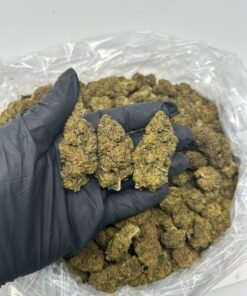 Runtz strains bud