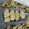 Wedding cake bud