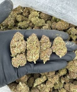 Wedding cake bud